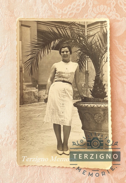 Rosa giovane 1960.jpg